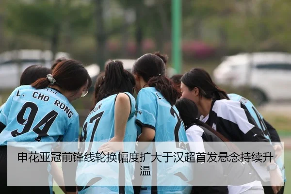 申花亚冠前锋线轮换幅度扩大于汉超首发悬念持续升温 - Crown